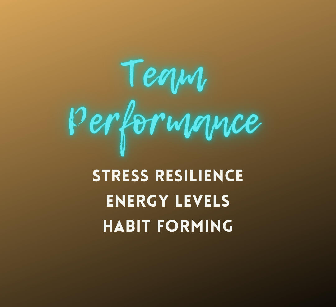 Team Performance Programme